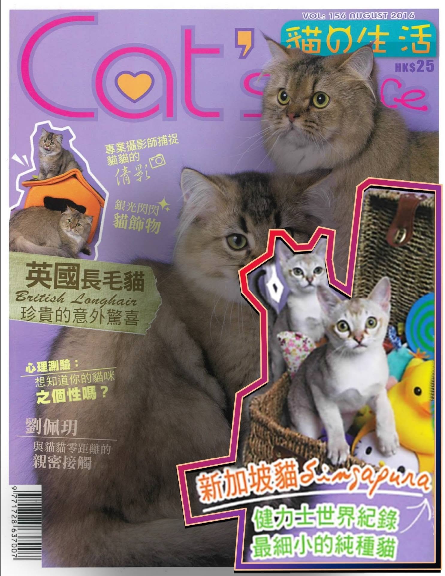 cat life p1